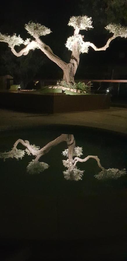 Les Gites De L'Arbousier Quissac  ภายนอก รูปภาพ